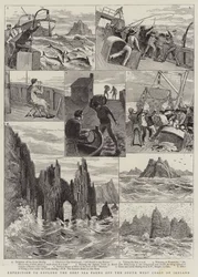 Expedition zur Erforschung der Tiefseefauna vor der Südwestküste Irlands